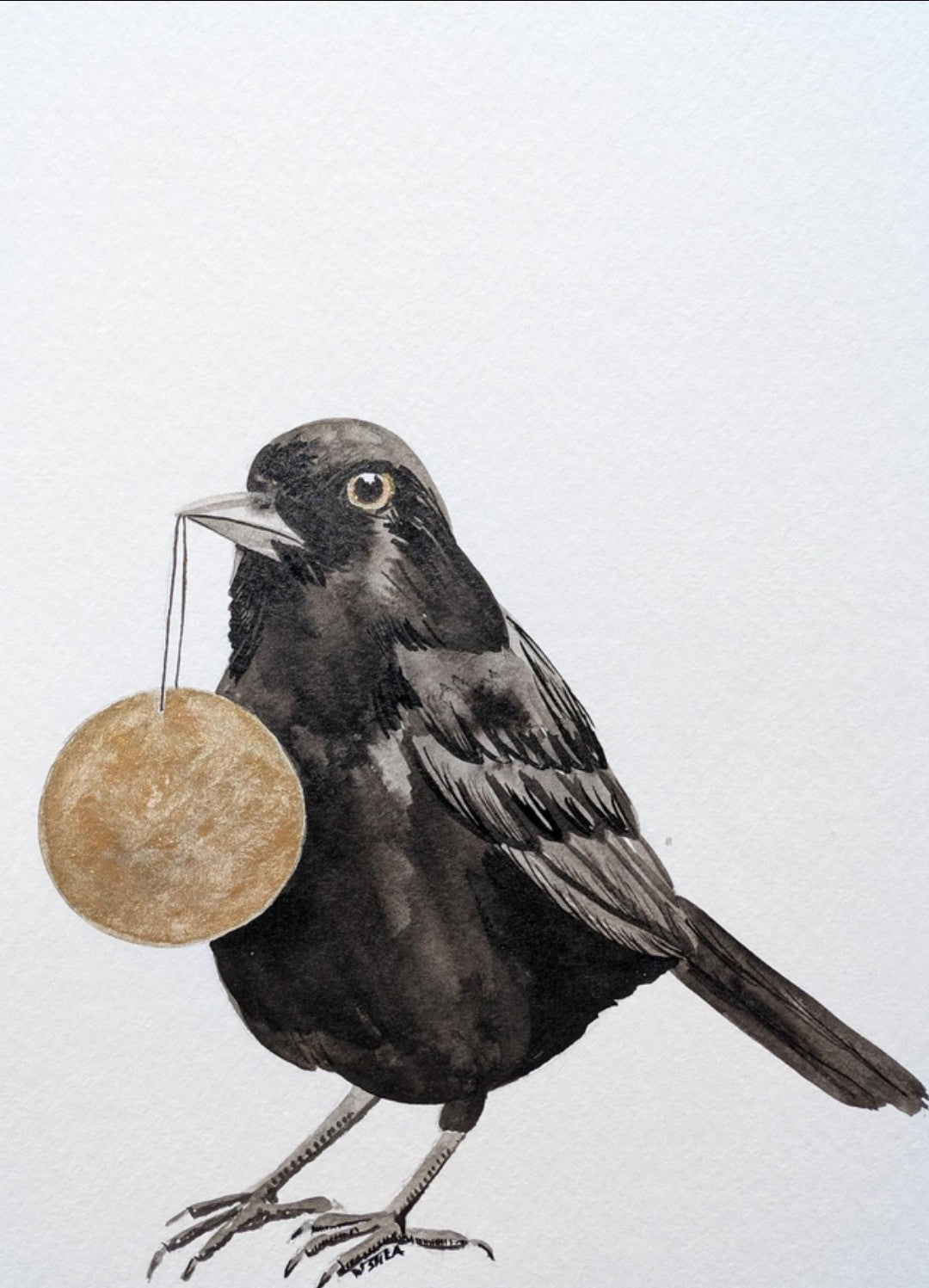 'Blackbird & Bauble'